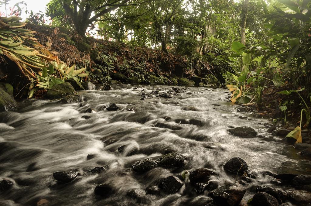 Hostel Rio Danta La Fortuna Exteriér fotografie