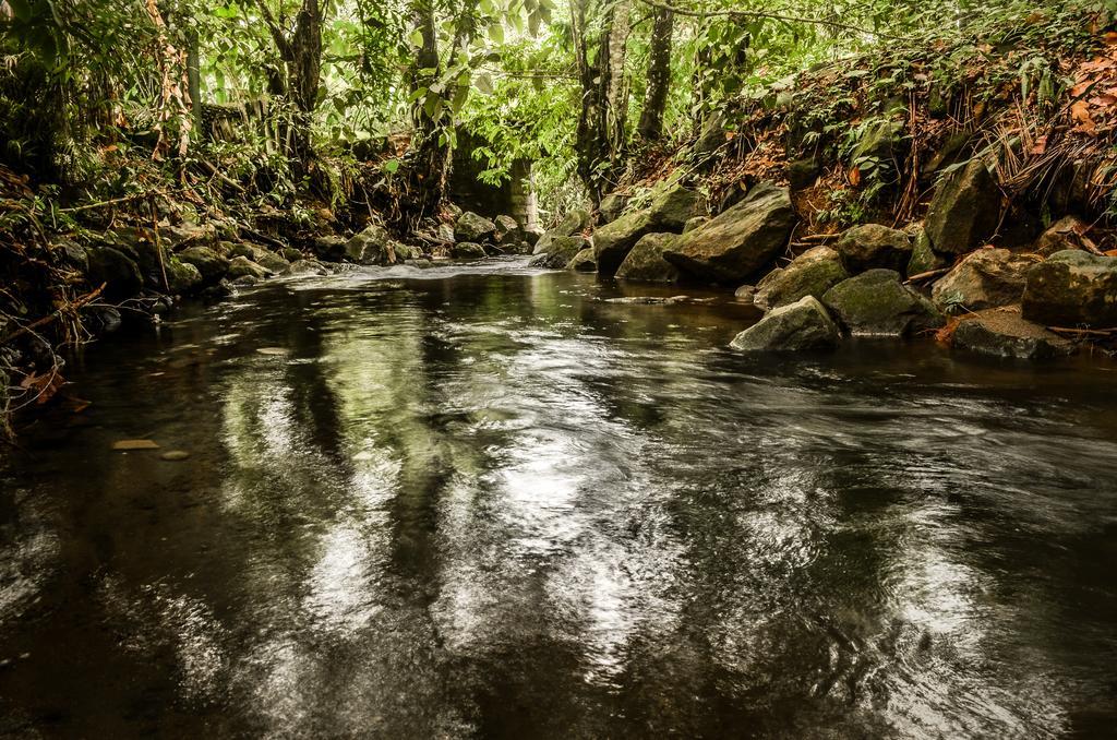Hostel Rio Danta La Fortuna Exteriér fotografie